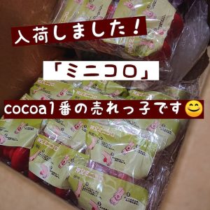 cocoa1番の売れっ子【ミニコロ】